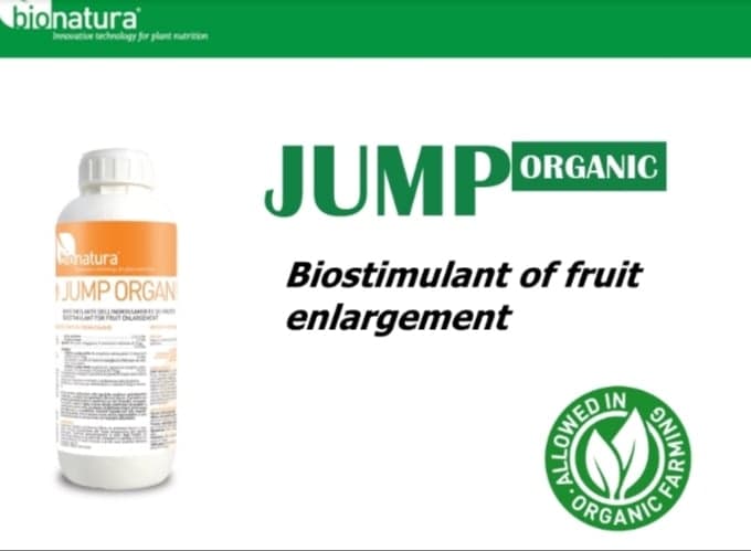 jump organic