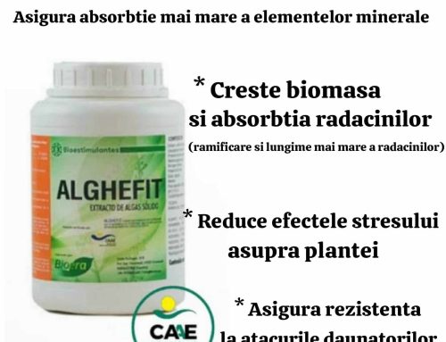 Alghefit – extract de alge marine care asigura rezistenta la inghet si o crestere viguroasa a plantelor