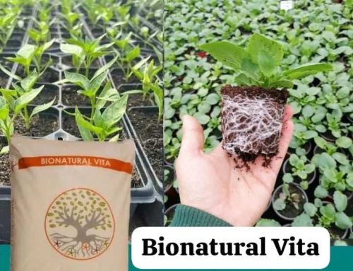 Beneficiile BIONATURAL VITA asupra plantelor