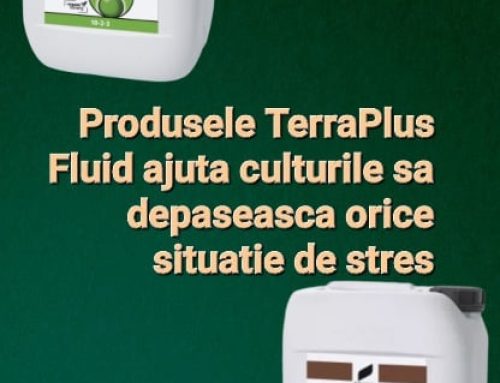 TerraPlus Fluid protejeaza plantele in caz de inghet, seceta sau grindina