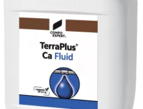 TerraPlus Ca Fluid previne deficientele de calciu si ajuta la refacerea plantelor aflate sub factori de stres